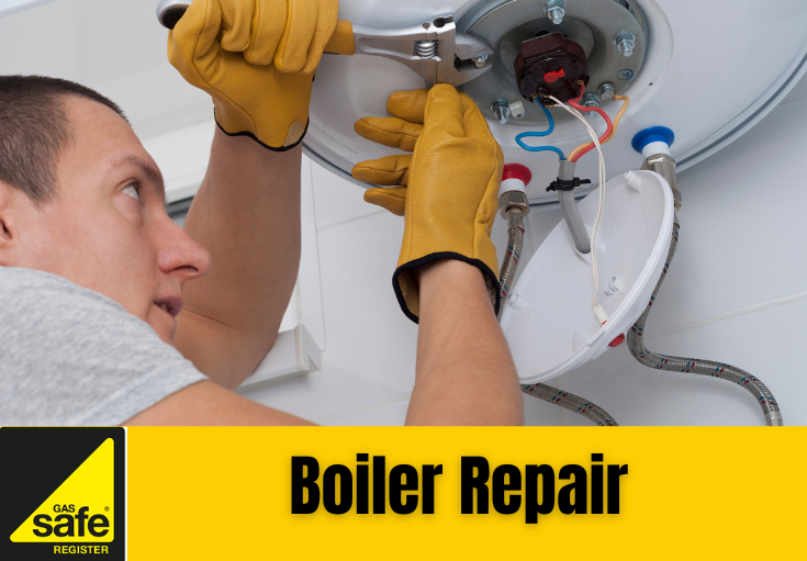 boiler repair Meopham 